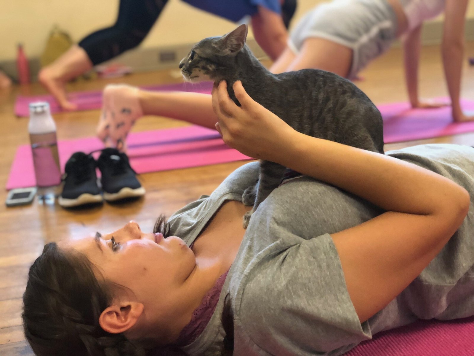 Kitty Yoga: The Benefits Of Practicing Yoga With Your Cat