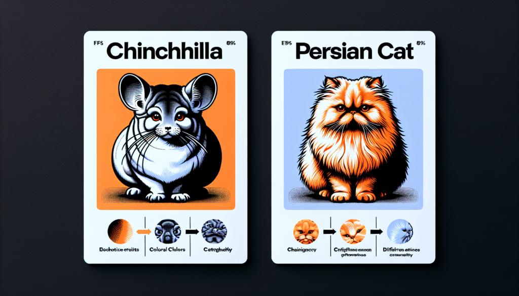 How to Distinguish a Chinchilla from a Persian Cat