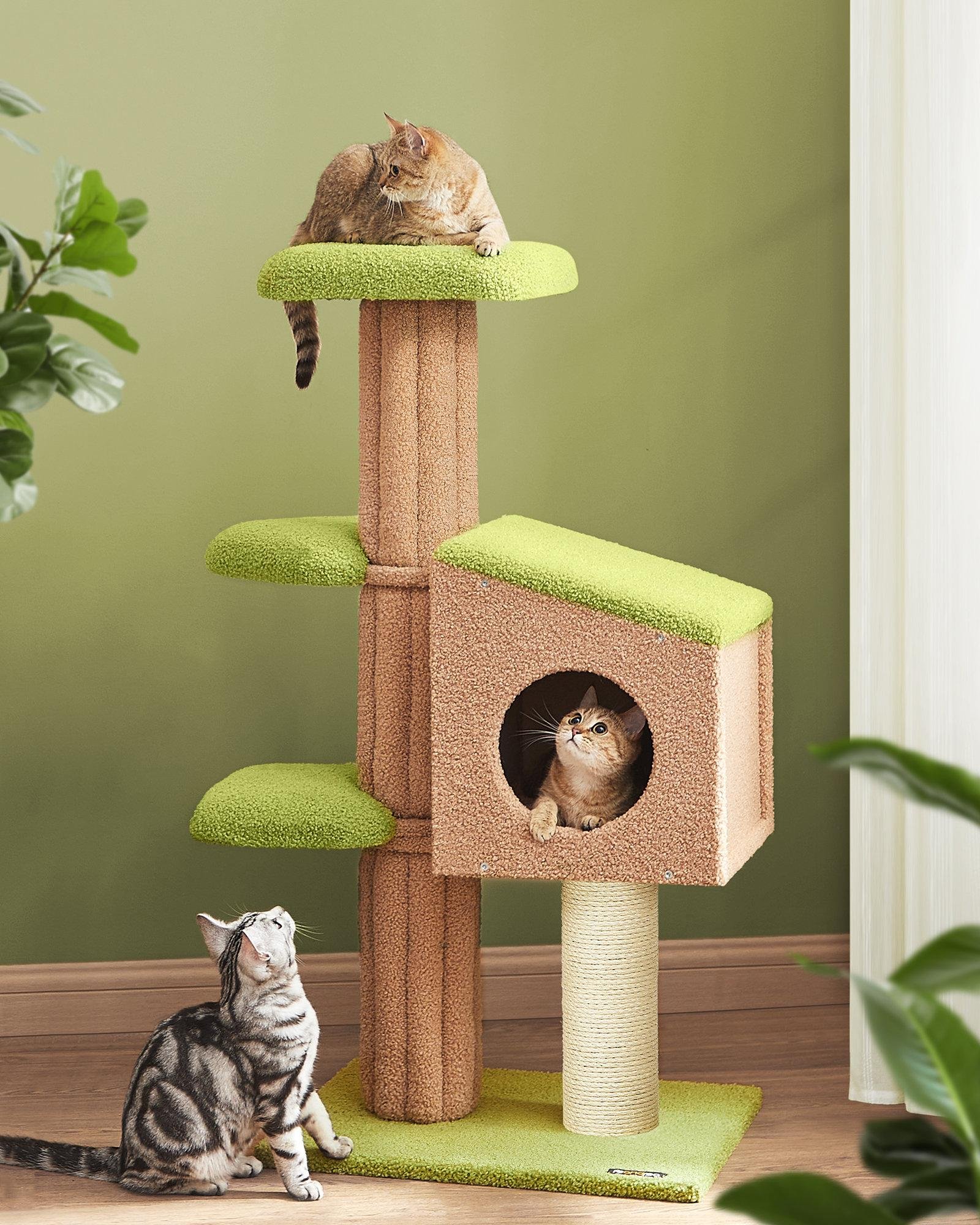 The Best Cat Trees for Tabby Cats